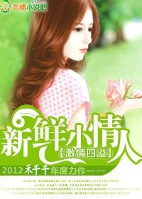 总裁的新妻完整版